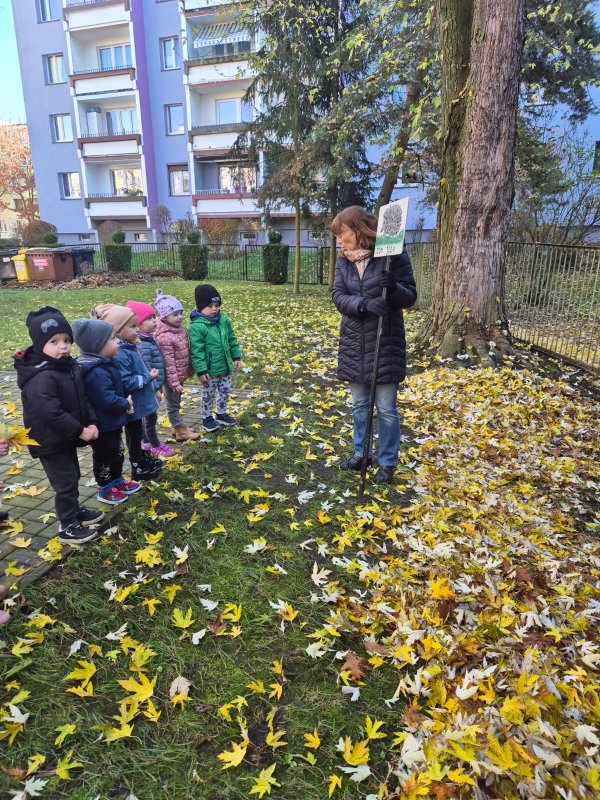 maluszki szykuj� domek dla je�y