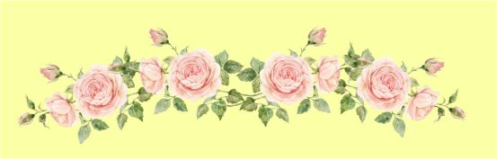 ilustracja bukietu r�